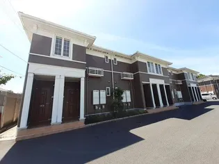 プラシードAの画像