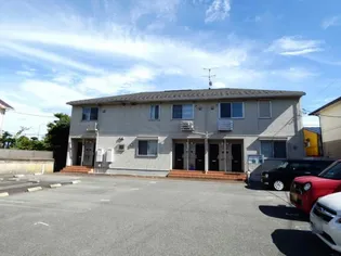 アムール常盤の画像