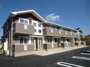 セントポーリア IIの画像