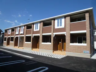 セントポーリア Iの画像