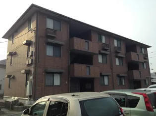 チューリップの画像