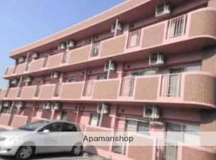 ルネッサマツモト【203号室】の外観