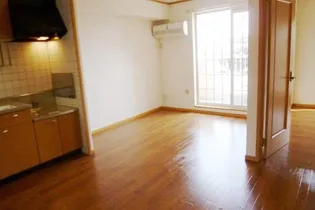 ビガーハイツ【201号室】の居間