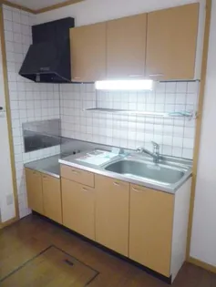 ビガーハイツ【1階】のキッチン