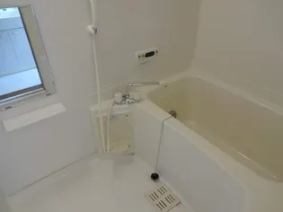 グローブ レジデンスB【1階】の風呂