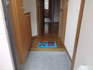 メゾン・ド・NANA【1階】の玄関