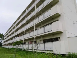 ビレッジハウス楠II2号棟の画像