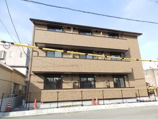 スターリー ボーテの画像