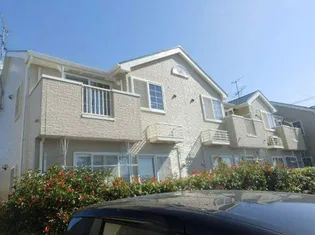 ドマーニBの画像