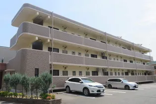 クラシカル ヒル ハーモニーの画像