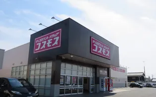 レオネクストやすらが丘Ⅰ【205号室】の周辺