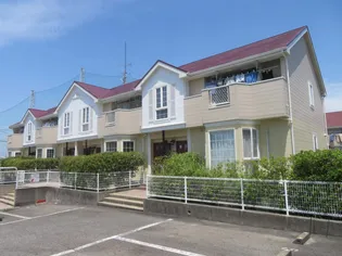 グリーンノートLの画像