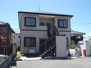 アレイ まゆの画像