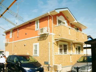 ドリーム クルーズの画像