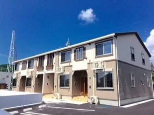 グリーン 南天の画像