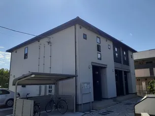 エクセランの画像