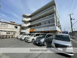 グレース綾羅木の画像