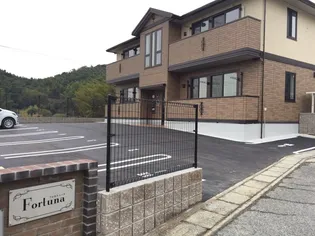 フォルトゥーナの画像