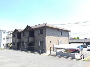 ウィルモアTの画像