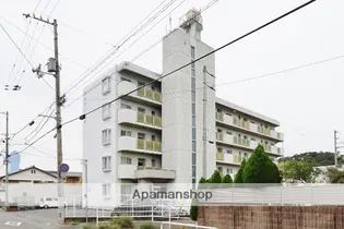 アクティ津田の画像