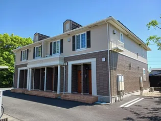 アンジェリカ Eの画像