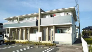 プリマベーラ Cの画像