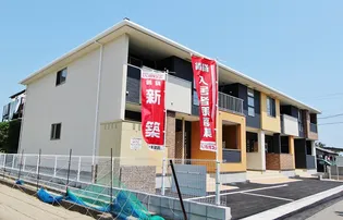 エヴェリーナIIIの画像