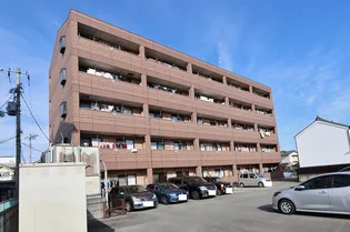 グレースヴィラ中吉野【4階】の外観