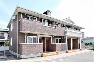 パピヨンの画像