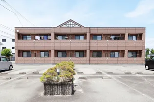 サンコート コーダの画像