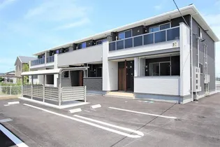 サザン スターBの画像