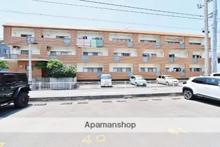 ドゥエル新蔵【3階】の外観