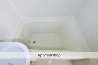 佐藤ハイツ(庄町)【101号室】の内装