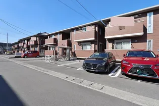 アムールEFの画像