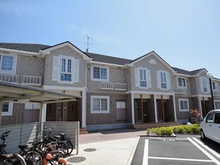 アンジェリカ Dの画像