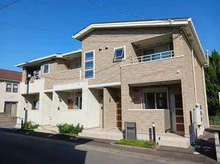 リトル ファインの画像