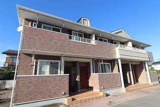 パピヨンの画像