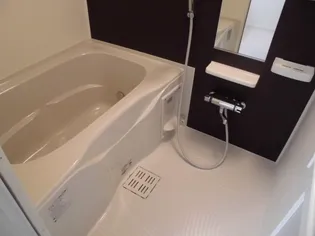 パーク アクシスオスト B【1階】の風呂