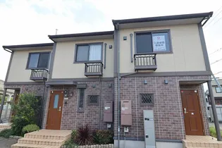 エヴァーグリーンの画像