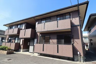 アムールAの画像