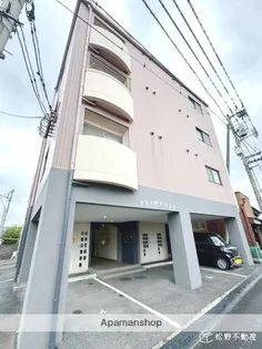 プリムローズの画像