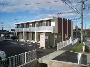 レオネクストセイ カパールの画像