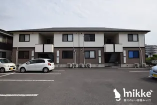 SETTLE ハバラの画像