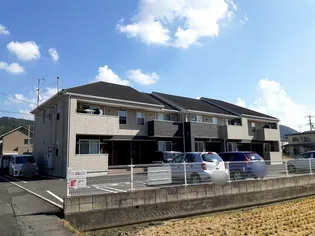 プラシードの画像