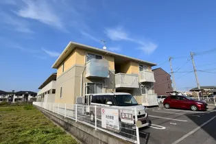 パラディー Mの画像