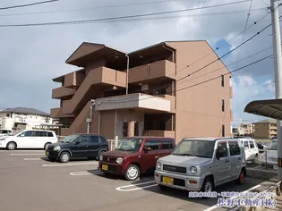 ヴィドゥ カンパーニュの画像