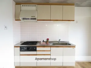 CELESTIAL NIIHAMA【5階】のキッチン