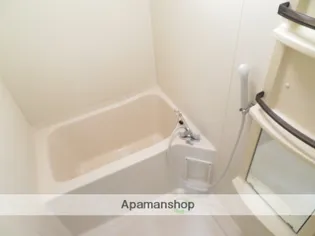 CELESTIAL NIIHAMA【5階】の風呂