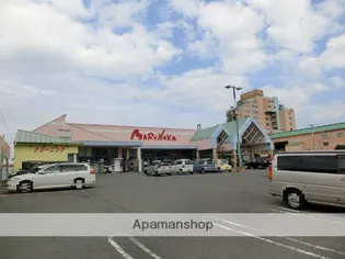 ビレッジ巴【2階】の周辺