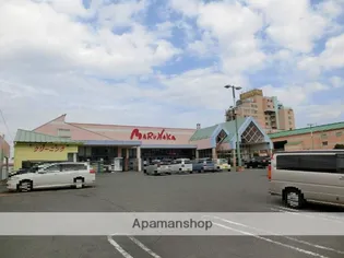 ツインパレス庄内 S棟【1階】の周辺